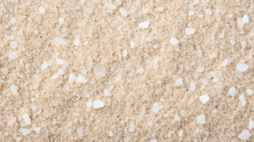 Coarse-Grained Sand Close-Up