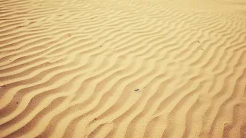 Tranquil Sand Dune Desert Landscape
