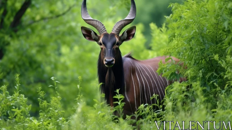 Bongo Antelope Portrait - Vulnerable Species in Central Africa AI Image