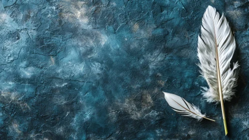 White Feathers on Dark Blue Textured Background