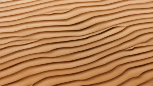 Serene Sand Dune Close-Up