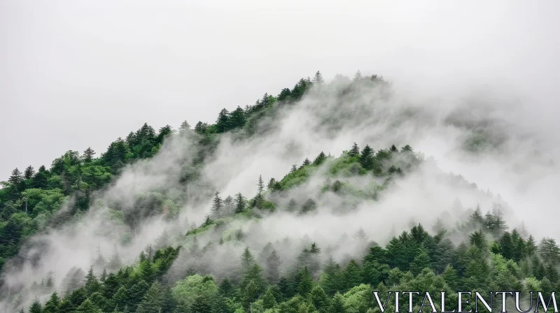 Mystical Mountain Landscape Photography AI Image