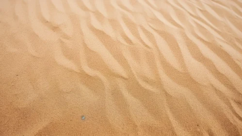 Endless Sand Dune in Desert Landscape