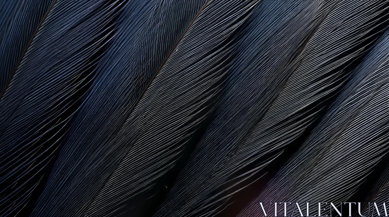 Black Feathers Close-Up - Neat Arrangement AI Image