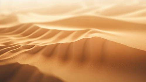 Sunlit Sand Dune in Desert
