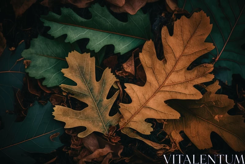 Moody Oak Leaves: Captivating Naturalist Aesthetic AI Image