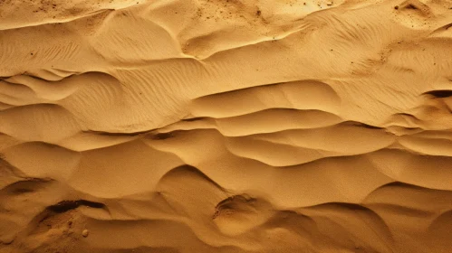 Serene Sand Dune Landscape