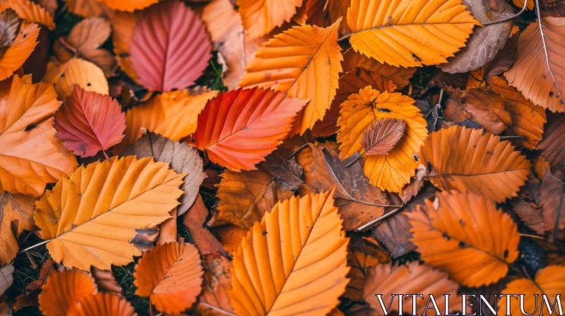 Enchanting Autumn Leaves Close-Up AI Image