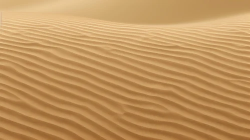 Golden Sand Dune Desert Landscape