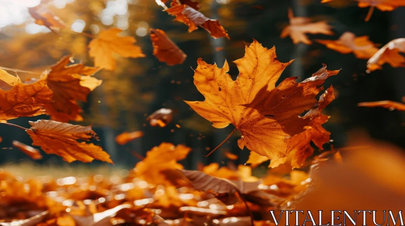 Autumn Leaves Close-up: Nostalgic Forest Scene AI Image