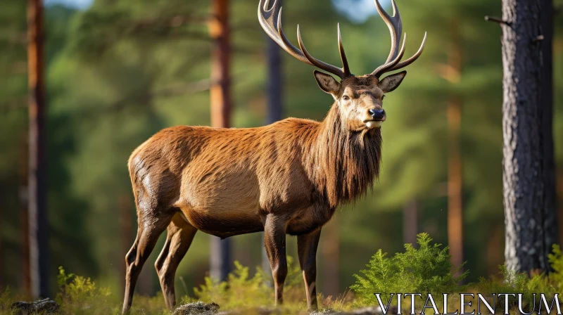 Majestic Red Deer Portrait in Forest AI Image