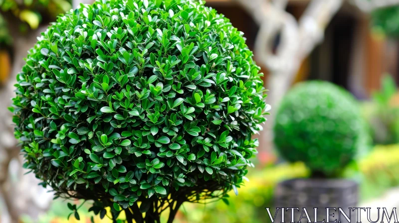 AI ART Green Topiary Sphere in Garden