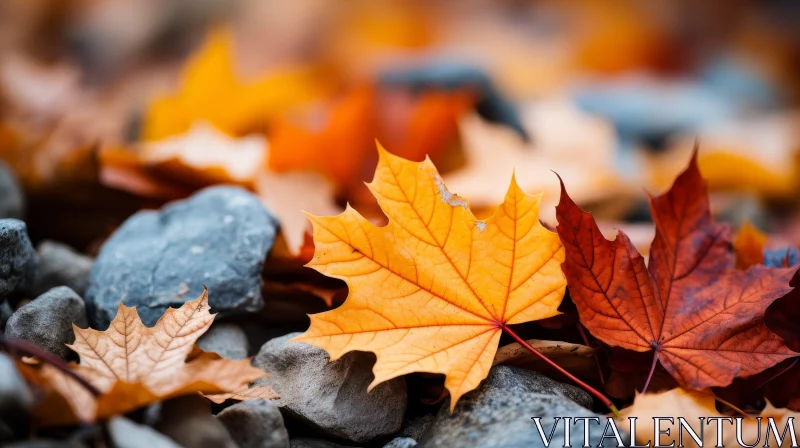 Vibrant Autumn Leaves on Ground - Nature Close-Up AI Image