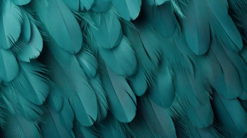 Teal Bird Feathers Close-up