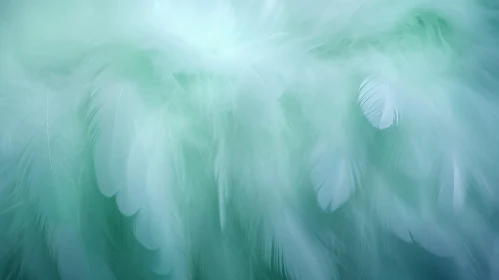 Delicate White Feathers on Soft Pastel Green Blue Background