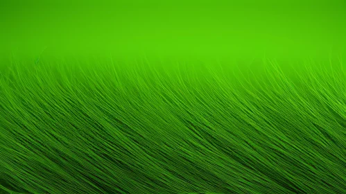 Tranquil Green Grass Close-Up