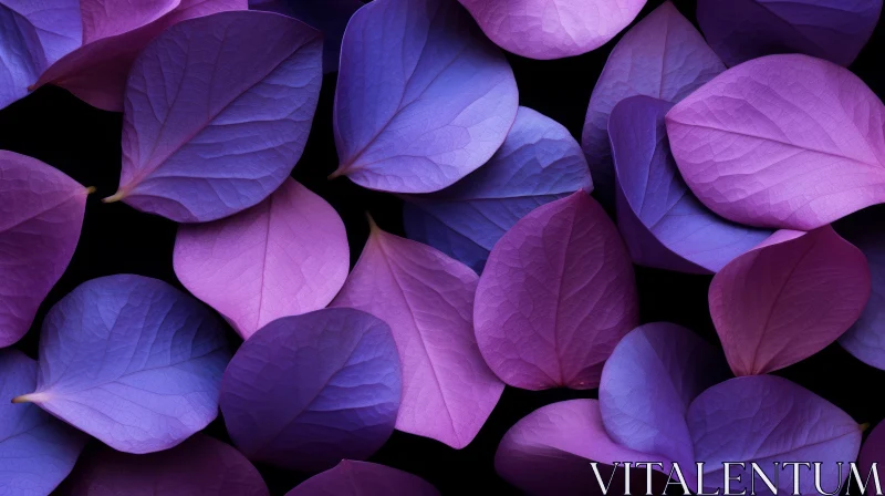 Purple and Blue Petals on Black Background AI Image