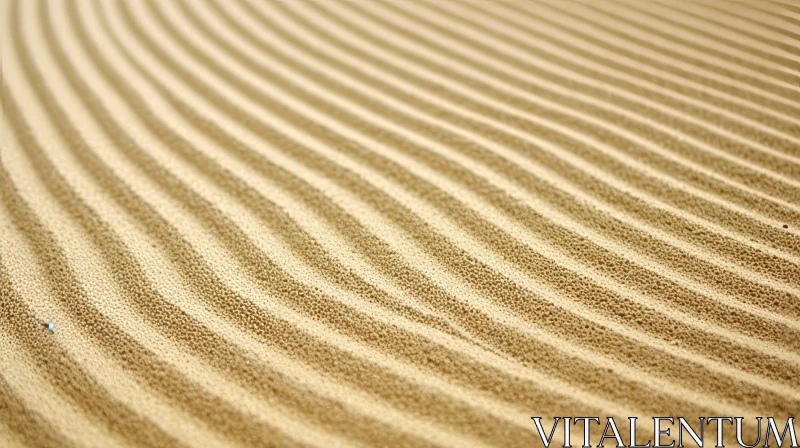 Fine-Grained Sand Surface with Ripples - Close-up View AI Image