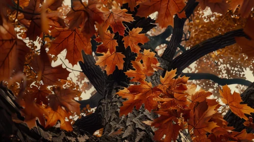 Orange Autumn Tree - Natural Beauty Captured