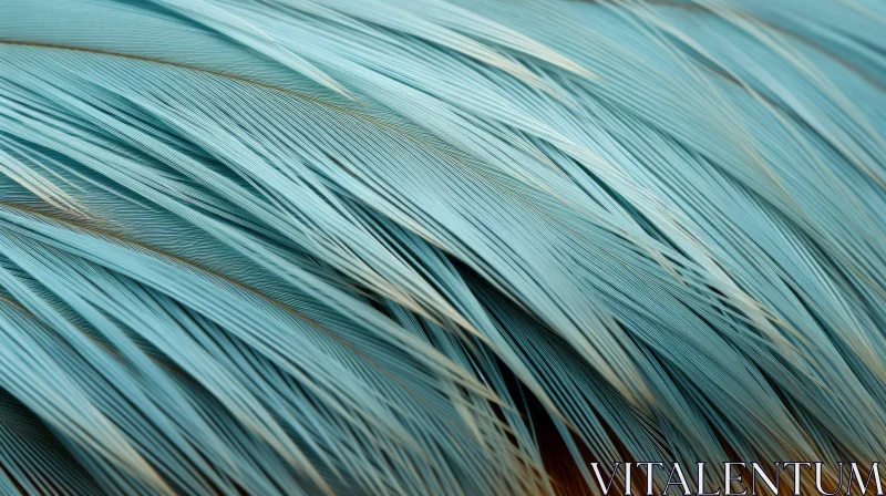 Blue Feathers Close-Up on Dark Brown Background AI Image