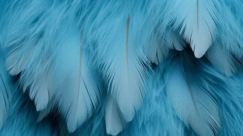 Blue Feathers Close-Up: Soft and Fluffy Textures