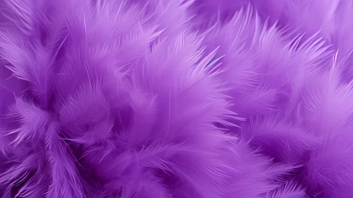 Soothing Purple Feathers Texture