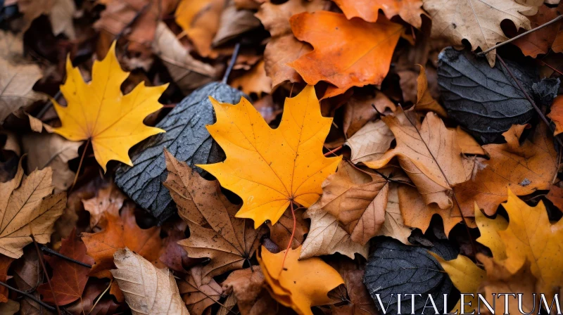 AI ART Autumn Leaves Close-Up - Colorful Nature Image