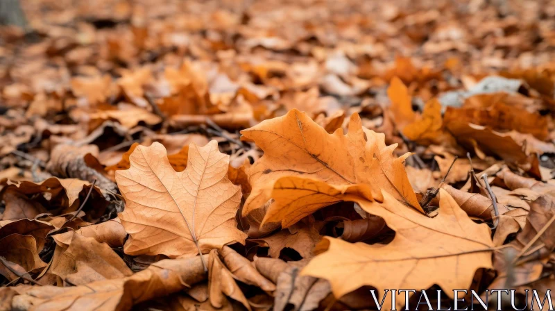AI ART Detailed Close-up of Fallen Brown Leaves on Ground
