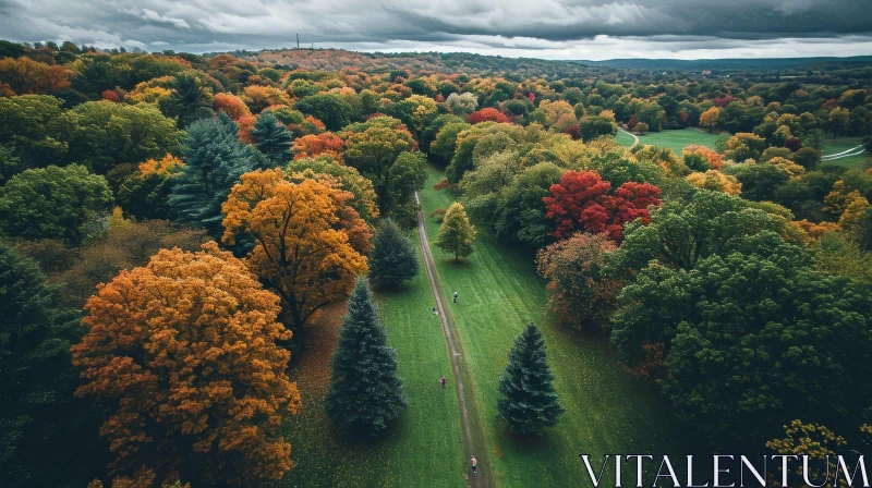 AI ART Fall Park Aerial View: Serene Nature Beauty