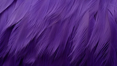 Intricate Purple Feathers Close-Up