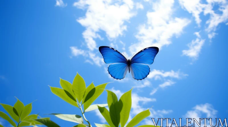 Blue Morpho Butterfly in Flight: Nature's Elegance Revealed AI Image