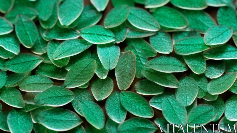 Green Leaves Close-up: Textured Botanical Composition AI Image