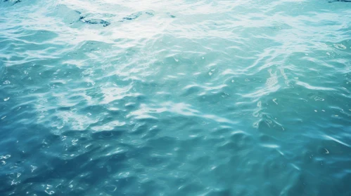 Ocean Blue Water Surface Sunlight Shimmering Photo
