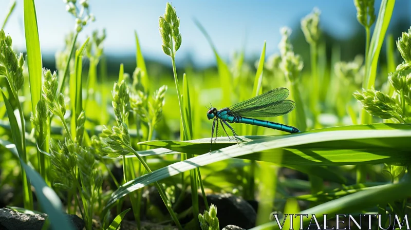 Dragonfly on Grass: A Natural Beauty in Blue and Green AI Image