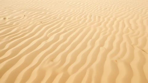 Desert Sand Dune Landscape with Footprints