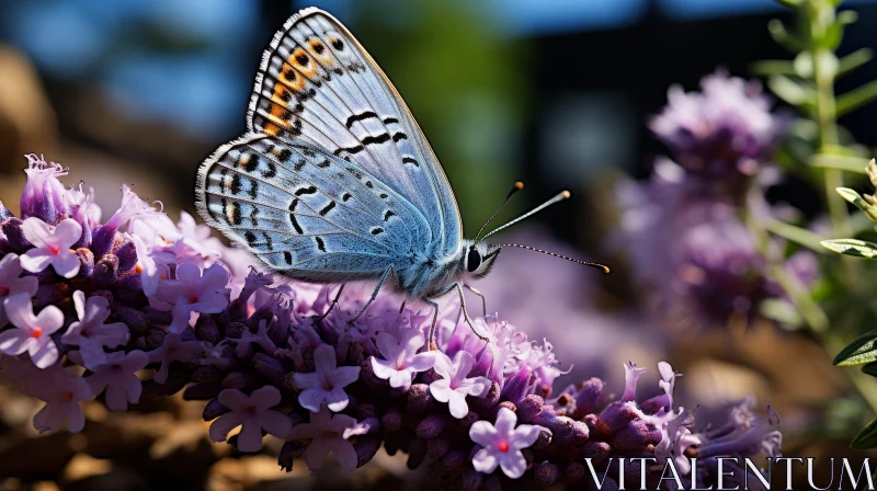 Blue Butterfly on Lavender Flower Close-Up AI Image