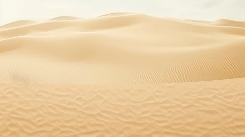 Tranquil Sand Dunes in Desert Landscape