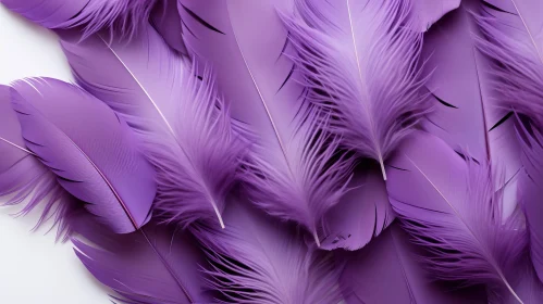 Purple Feathers Close-Up: Soft and Fluffy on White Surface