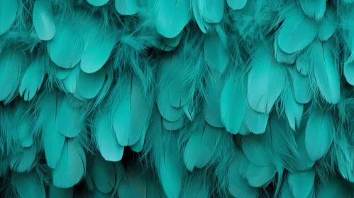 Teal Feathers Texture Background