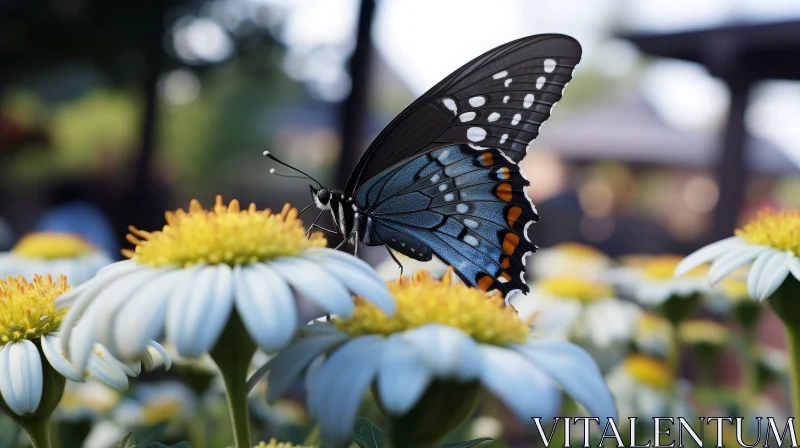 Beautiful Butterfly on Daisy AI Image