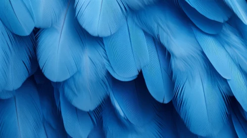 Blue Parrot Feathers Close-Up
