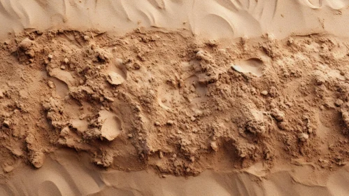 Close-Up Sand Dune Desert Landscape