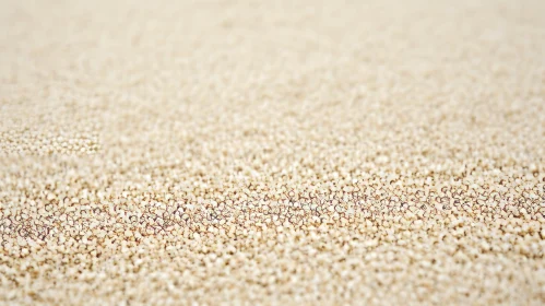Quinoa Seeds Texture Close-Up