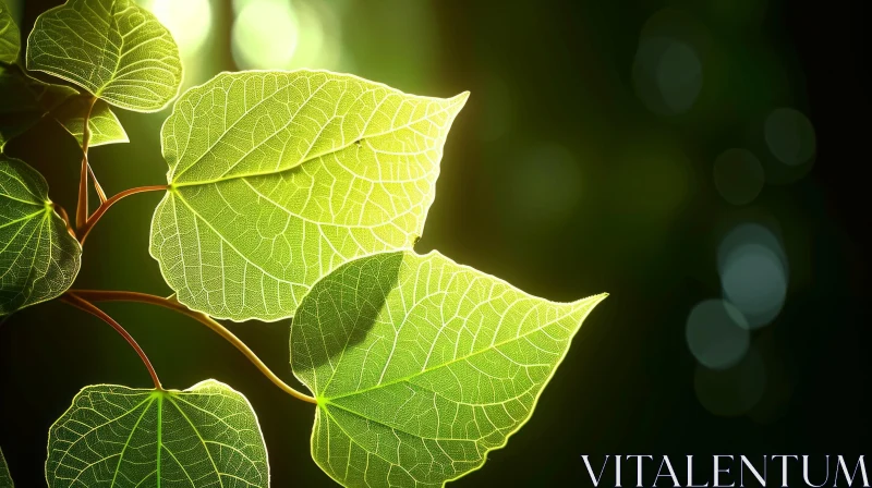 Green Leaf Veins Backlit by Sunlight AI Image
