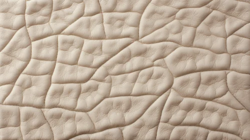 Luxurious Light Beige Textured Leather Close-Up