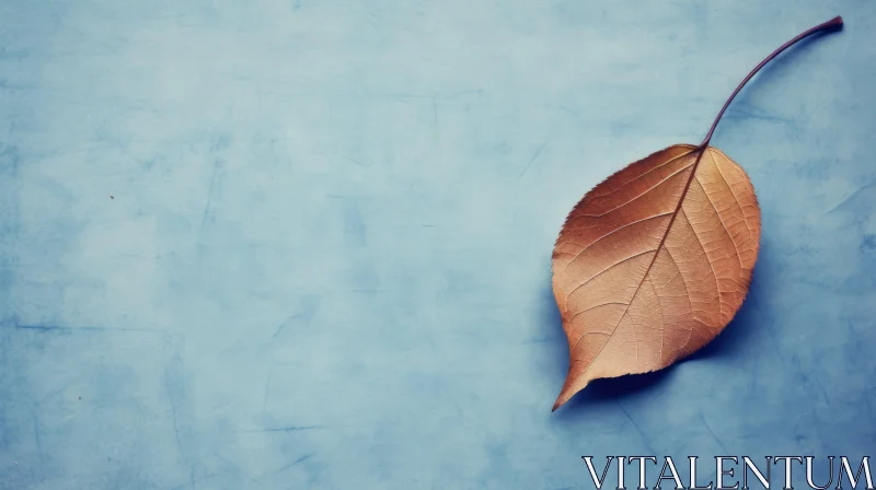 Brown Autumn Leaf on Blue Background AI Image