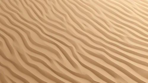 Tranquil Sand Dune Landscape