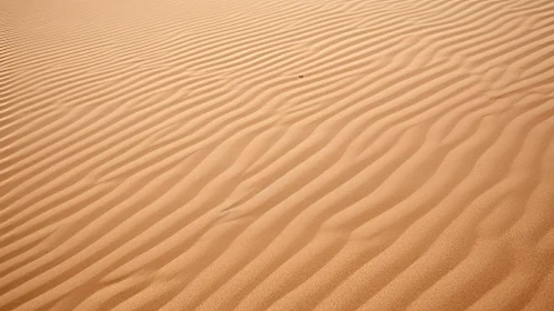Tranquil Sand Dune in Desert