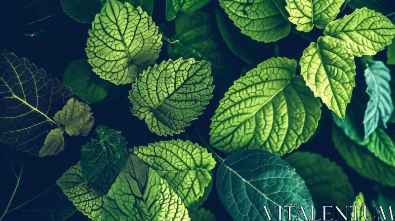 Green Leaves Close-up: Nature's Beauty Revealed AI Image
