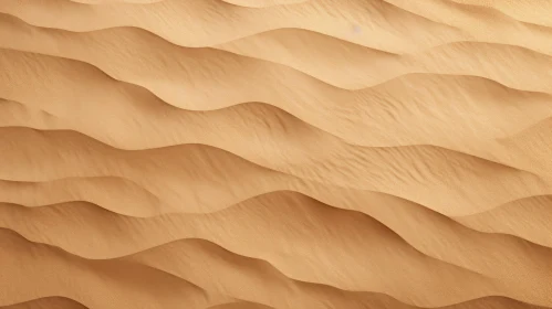 Detailed Sand Dune Texture - High Angle View
